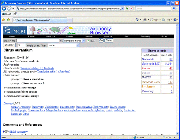 Helicobacter pylori