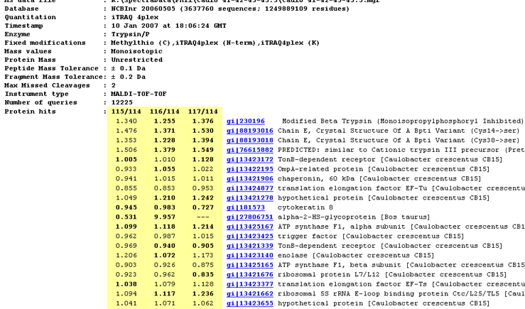 quantitation report header